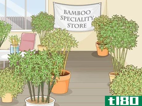 Image titled Buy Bamboo Step 8