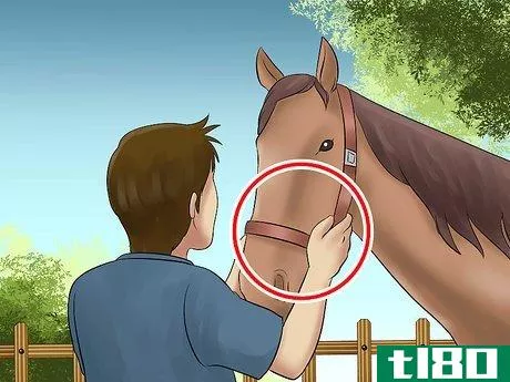 Image titled Catch a Horse Step 10