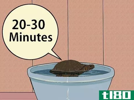 Image titled Care for a Hibernating Turtle Step 23