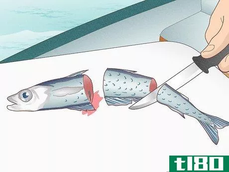 Image titled Catch Bluefin Tuna Step 2
