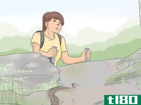 Image titled Avoid Snakes Step 13