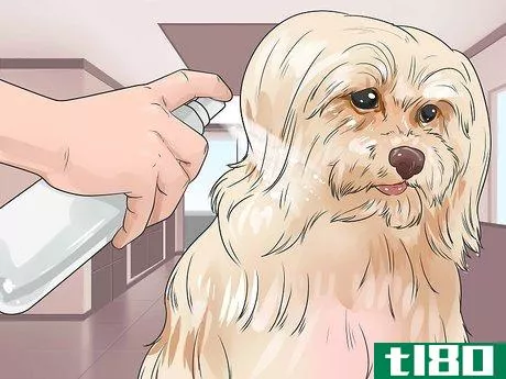 Image titled Brush a Long Haired Dog Step 14