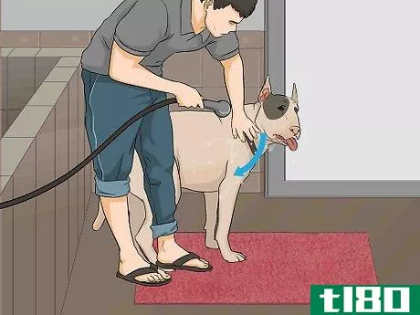 Image titled Bathe a Dog in a Shower Step 11