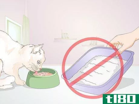 Image titled Avoid Germs when Cleaning a Litter Box Step 16