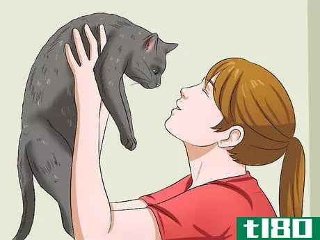 Image titled Make Your Cat Love You Step 4