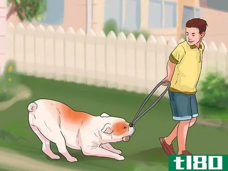Image titled Be a Good Pet Owner (for Kids) Step 5