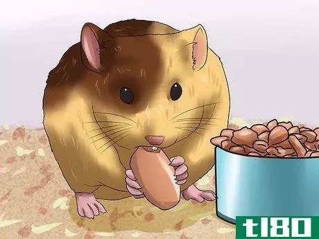 Image titled Care for Newborn Hamsters Step 8