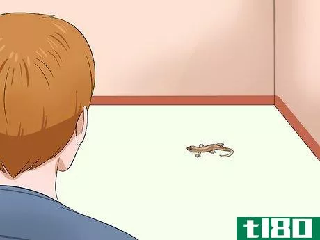 Image titled Catch a Lizard Without Using Your Hands Step 1