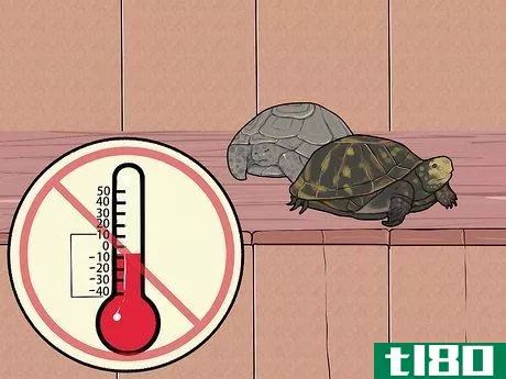 Image titled Care for a Hibernating Turtle Step 9
