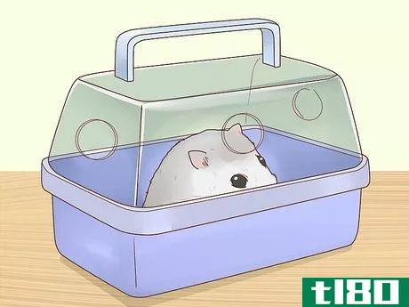 Image titled Care for Winter White Dwarf Hamsters Step 22