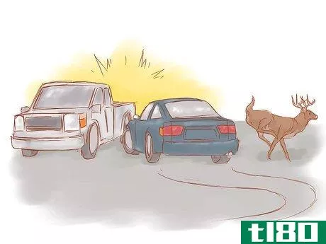 Image titled Avoid a Moose or Deer Collision Step 9