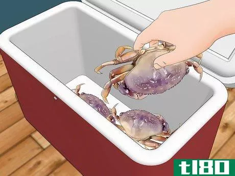 Image titled Catch a Crab Step 17