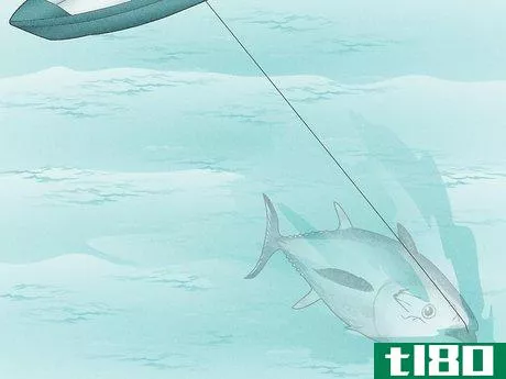 Image titled Catch Bluefin Tuna Step 10