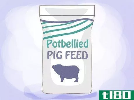 Image titled Care for a Miniature Potbellied Pig Step 3