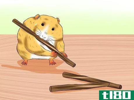 Image titled Care for a Hamster That Bites Step 2