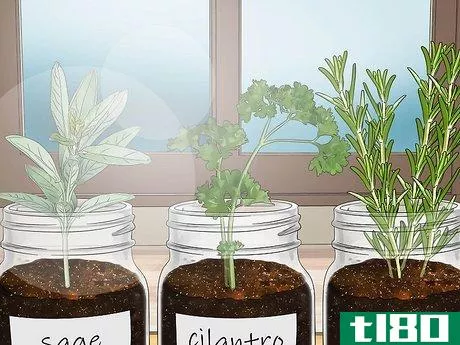 Image titled Build a Mason Jar Herb Garden Step 9