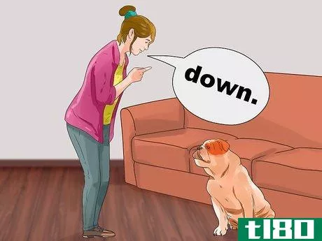 Image titled Be Intimate with Your Partner when You Have a Protective Dog Step 3