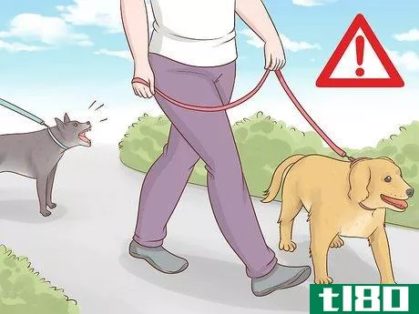 Image titled Become a Dog Walker Step 9
