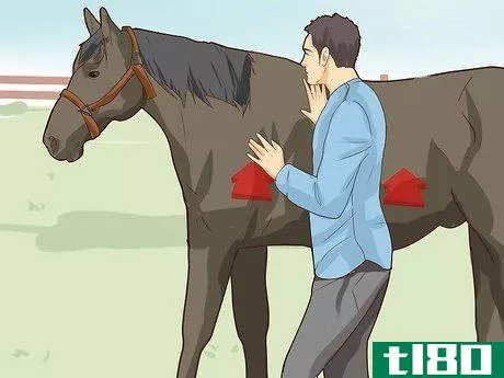 Image titled Break a Horse Step 16