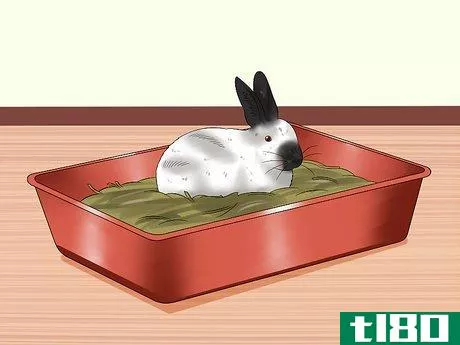Image titled Care for Californian Rabbits Step 11