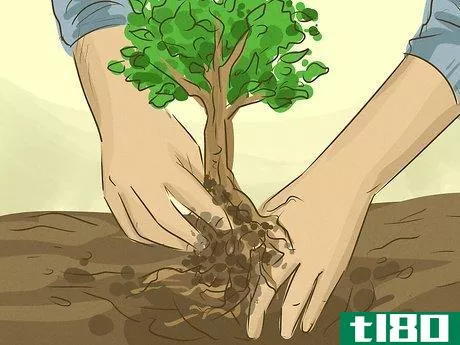 Image titled Help Save the Earth Step 13