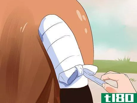 Image titled Apply a Horse Tail Bandage Step 7