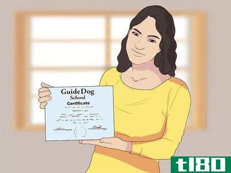Image titled Become a Guide Dog Trainer Step 7