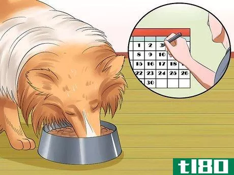 Image titled Care for Shelties Step 7