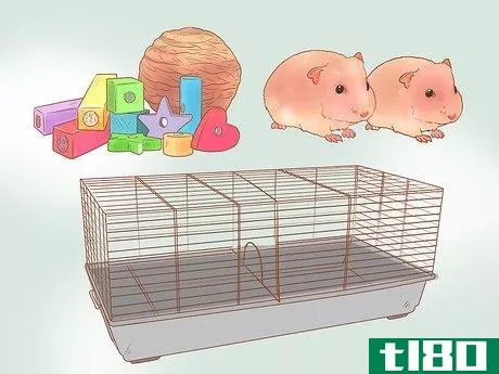 Image titled Care for Dwarf Hamsters Step 2