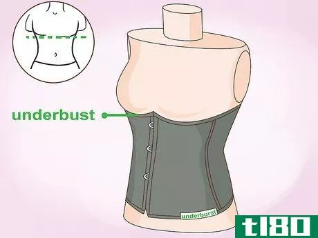 Image titled Buy a Corset Step 2