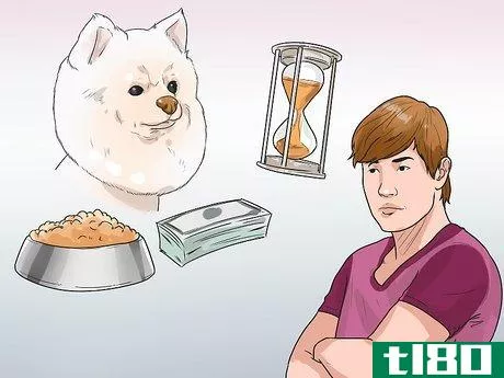 Image titled Buy a Pomeranian Step 1