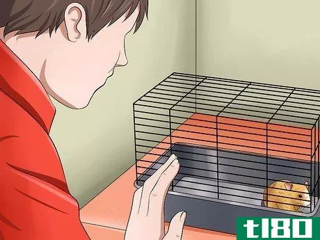 Image titled Catch a Runaway Hamster Step 22