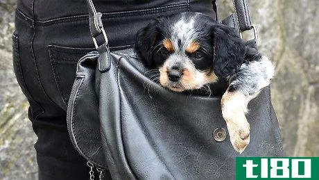 Image titled Carry a Puppy Step 13