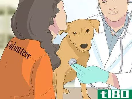 Image titled Become a Guide Dog Trainer Step 3