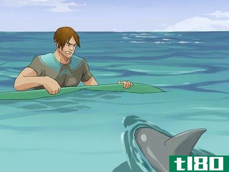 Image titled Avoid Sharks While Surfing Step 12