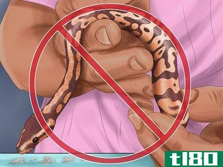 Image titled Care for Your Ball Python Step 16