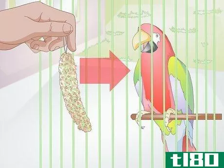 Image titled Choose Treats for Pet Birds Step 4
