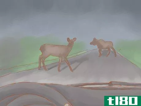 Image titled Avoid a Moose or Deer Collision Step 6