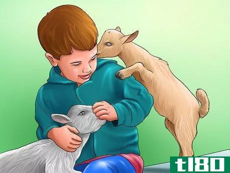 Image titled Care for Miniature Goats Step 5