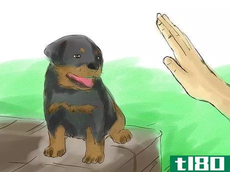 Image titled Train Your Rottweiler Puppy With Simple Commands Step 4