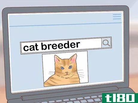 Image titled Buy a Cat Step 10