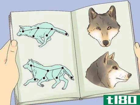 Image titled Become a Wolf Expert Step 2