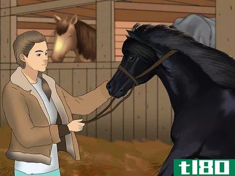 如何照顾盲人马(care for a blind horse)