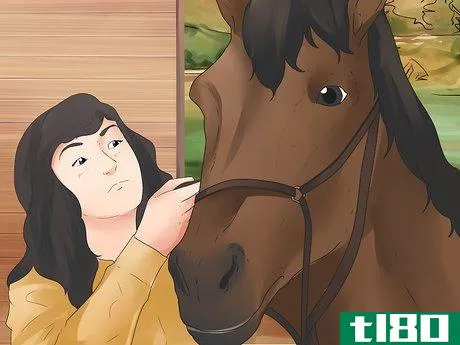 Image titled Be Safe Around Horses Step 5