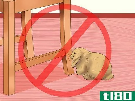 Image titled Care for Holland Lop Rabbits Step 9