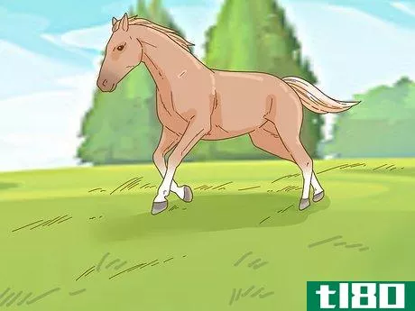 Image titled Calm Your Horse Down Quickly Step 11