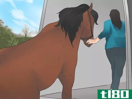 Image titled Be Safe Around Horses Step 20