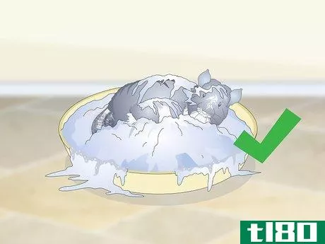 Image titled Care for Chinchillas Step 18