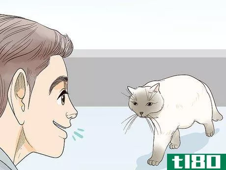 Image titled Attract Cats Step 8