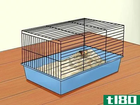 Image titled Care for Newborn Hamsters Step 3